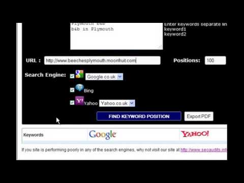 Search Engine Ranking Position Tool for Free